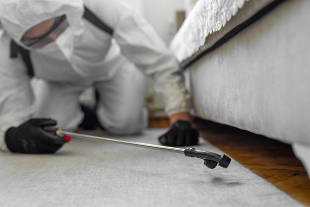 Professional Cockroach Control technician working in Byram, CT