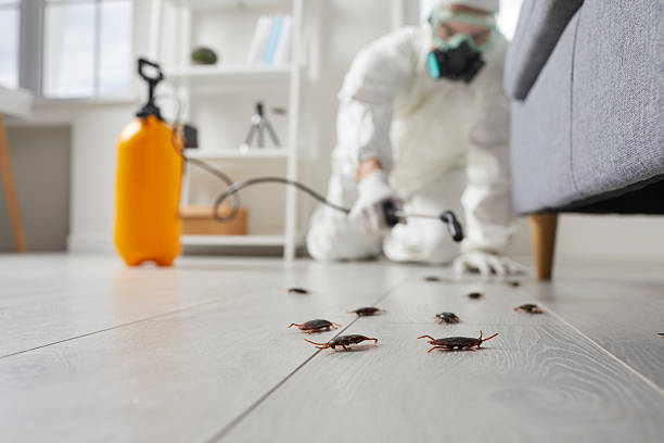 Affordable Cockroach Control solutions in Byram, CT